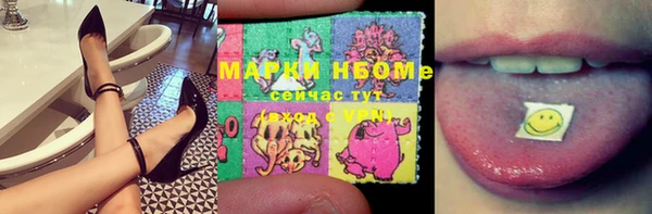 метадон Алексин