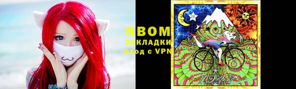 метадон Алексин